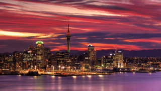 Auckland Market Update March 2020